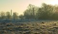 Steenwerck en hiver - Photographe : © Yves Devaddere - JPEG - 155.7 ko
