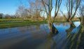 Steenwerck en hiver - Photographe : © Yves Devaddere - JPEG - 199 ko